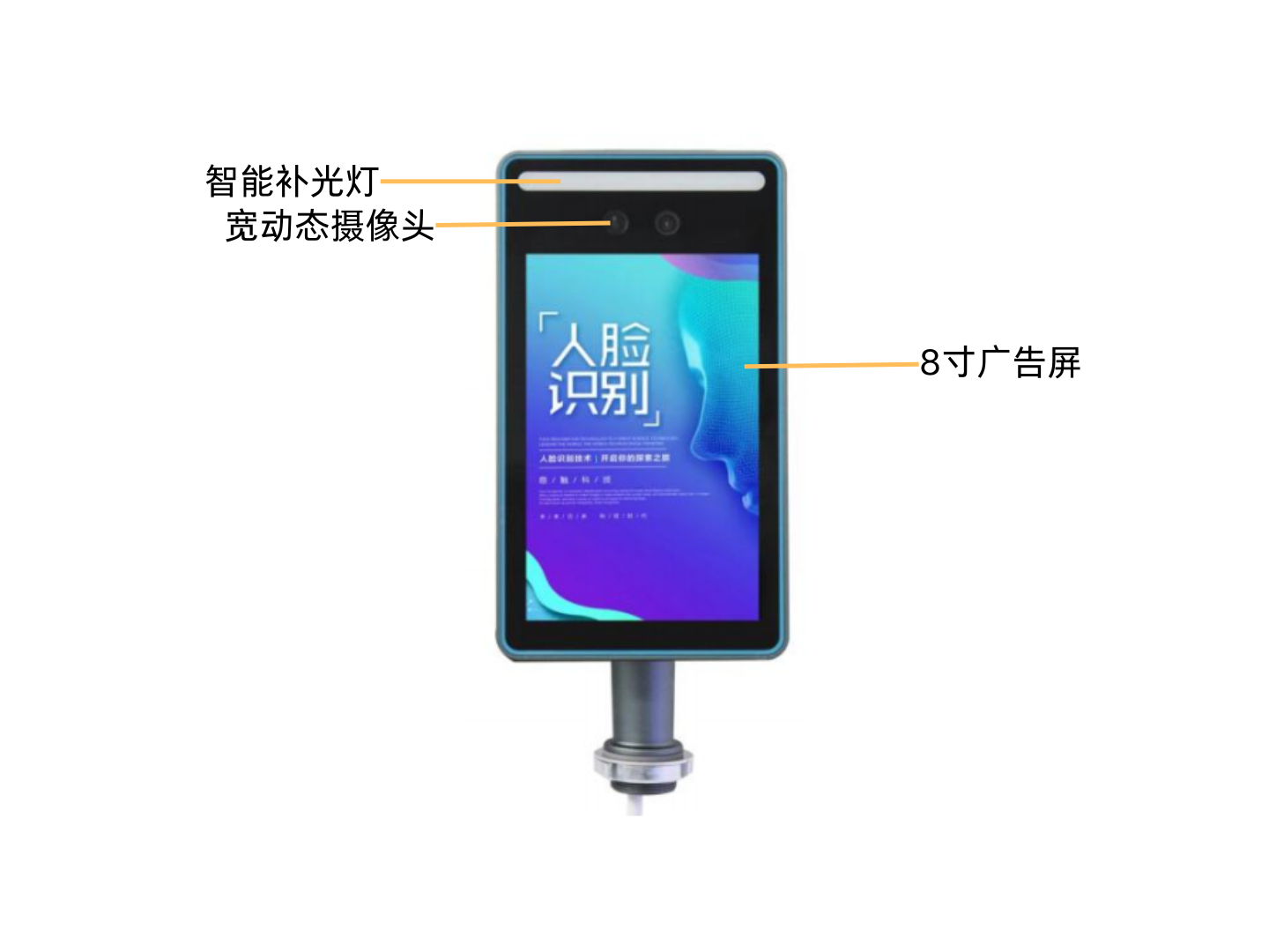 你的段落文字.png